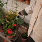 Fingerless Mitten "Basket" - Loam, Dulse, Haar - Pre-Order