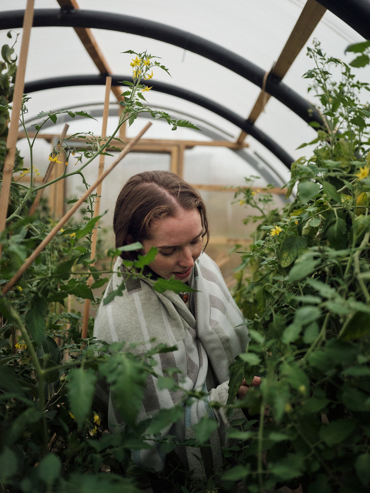 Blanket "Harbour" - Paper, Moss, Haar