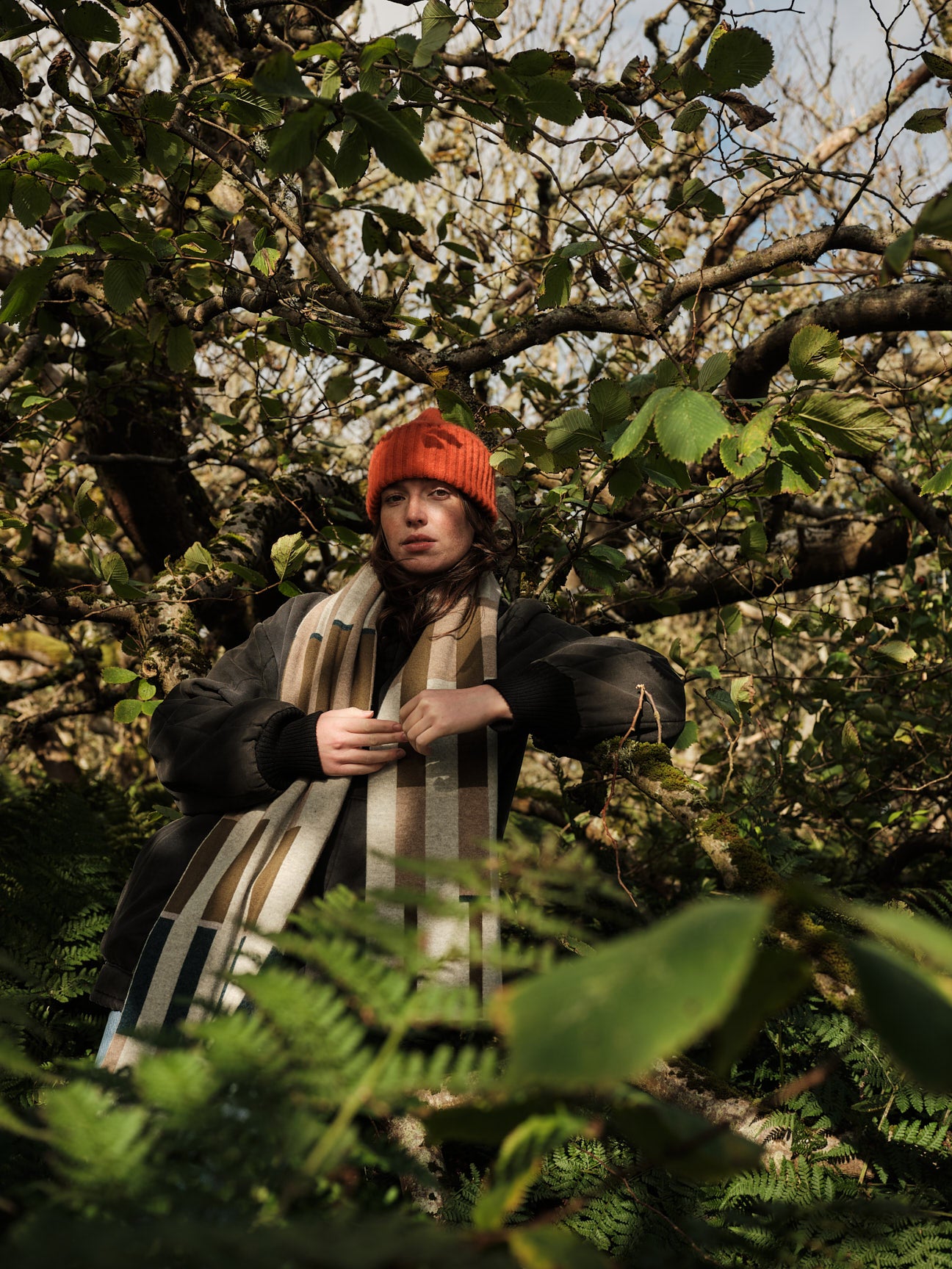 Scarf "Harbour" - Birch, Wren, Olive